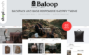 Baloop home