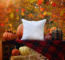 Fall Autumn Outdoor Pillow Mockup JPG