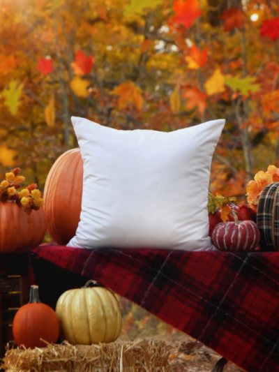 Fall Autumn Outdoor Pillow Mockup JPG