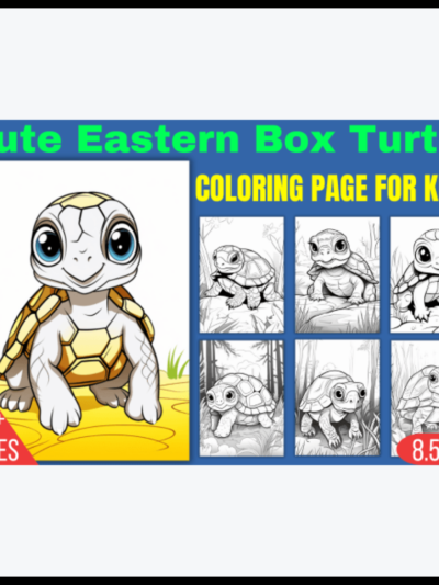 Cute Eastern Box Turtle Coloring Page