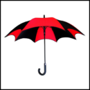_Umbrella.mov