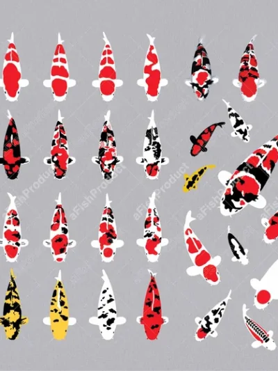 Special Vectors