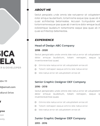 Professional CV Resume Template Vol.10