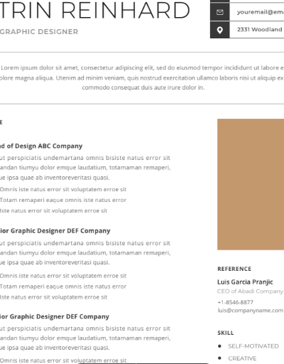 Professional CV Resume Vol.40