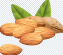 almond_png