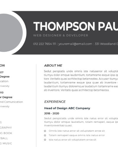 Professional CV Resume Template Vol.11