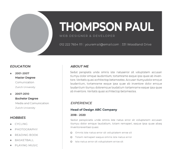 Professional CV Resume Template Vol.11