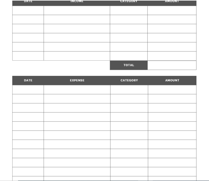 Income & Expenses Log