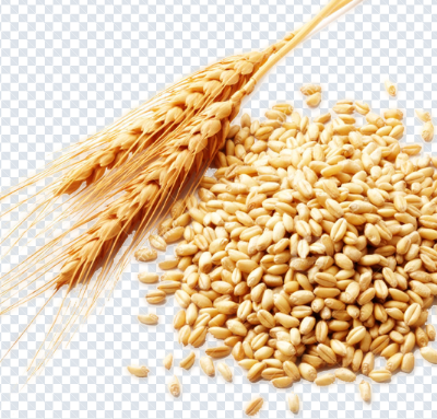 wheat_png