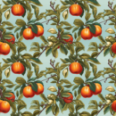 apricot peach fruit orange