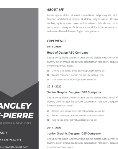 Professional CV Resume Vol.27