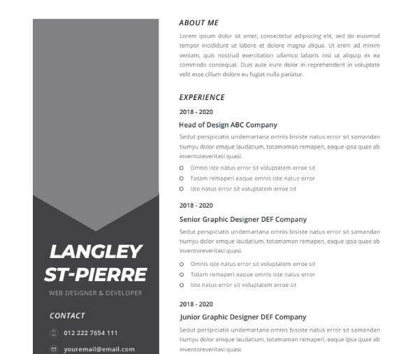 Professional CV Resume Vol.27