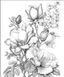 178 Flower Magnolias