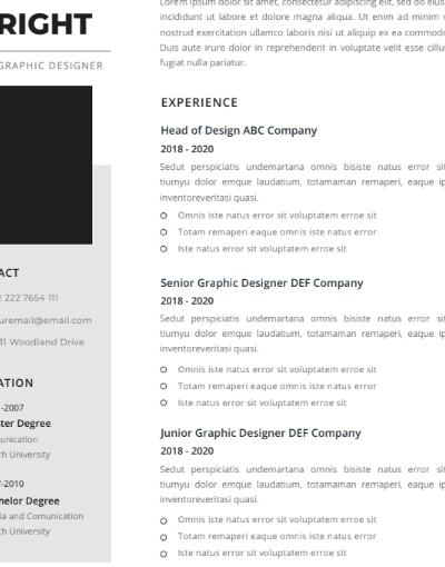 Professional CV Resume Vol.33