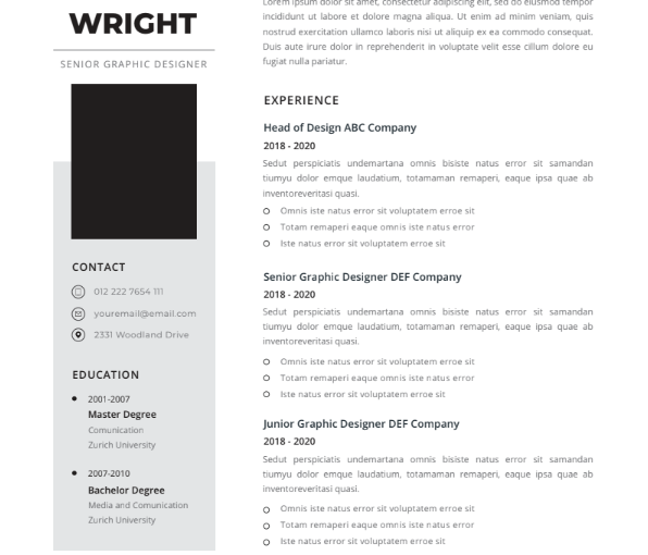 Professional CV Resume Vol.33