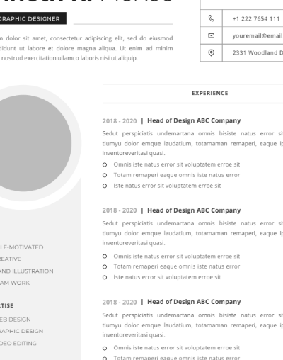 Professional CV Resume Vol.41