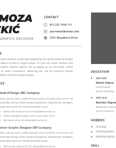 Professional CV Resume Vol.31