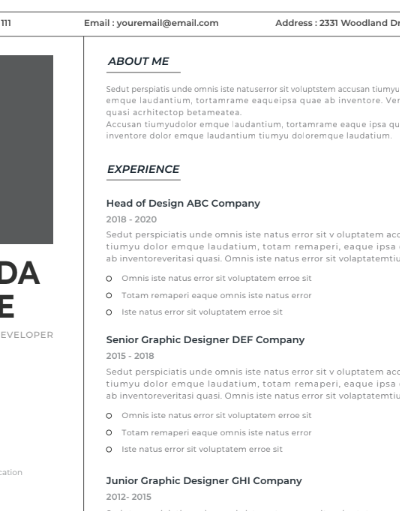 Professional CV Resume Vol.5