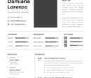 Professional CV Resume Vol.30