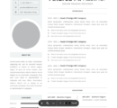 Professional CV Resume Vol.46