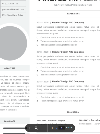 Professional CV Resume Vol.46