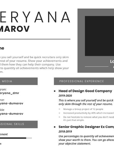 Professional CV Resume Template Vol.15