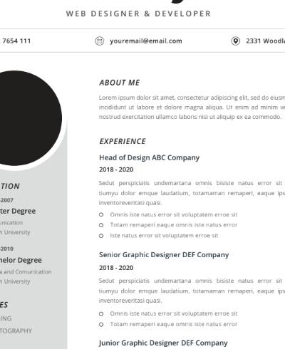 Professional CV Resume Vol.24