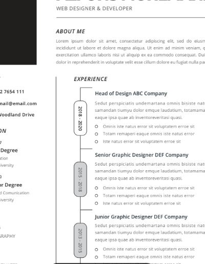 Professional CV Resume Vol.26