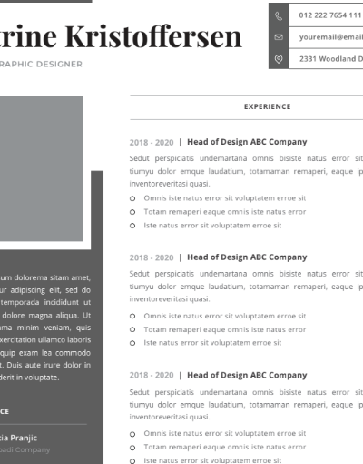 Professional CV Resume Vol.6