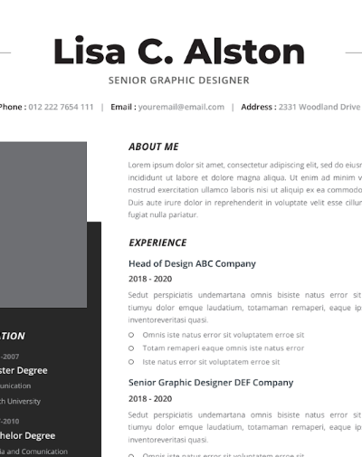 Professional CV Resume Vol.25