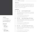 Professional CV Resume Vol.22