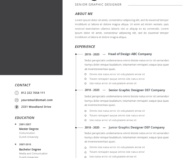 Professional CV Resume Vol.22