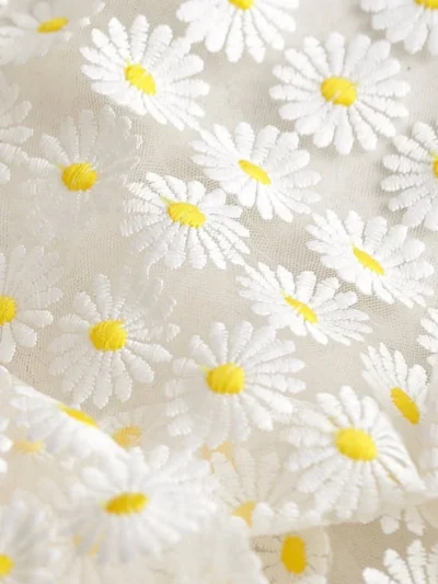 flower daisy white