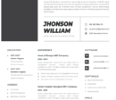 Professional CV Resume Vol.29