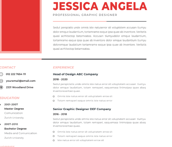 Professional CV Resume Vol.45
