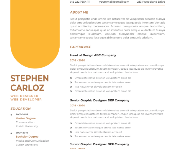 Professional CV Resume Template Vol.12