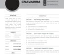 Professional CV Resume Template Vol.9