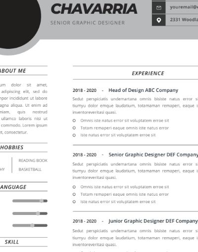 Professional CV Resume Template Vol.9