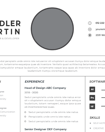 Professional CV Resume Vol.7