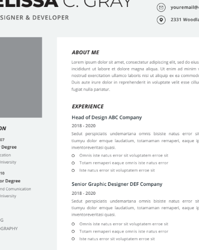 Professional CV Resume Vol.36