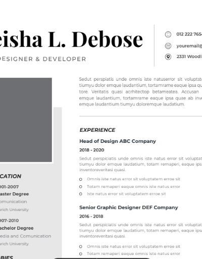 Professional CV Resume Vol.20