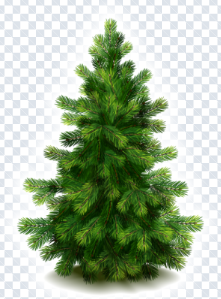 firtree_png