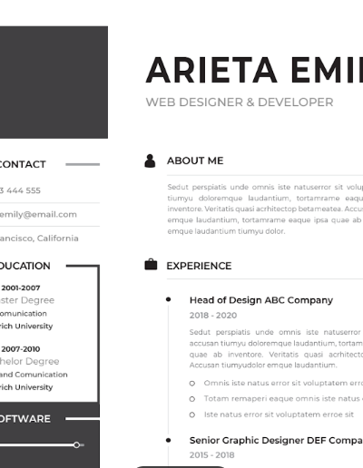Professional CV Resume Vol.18