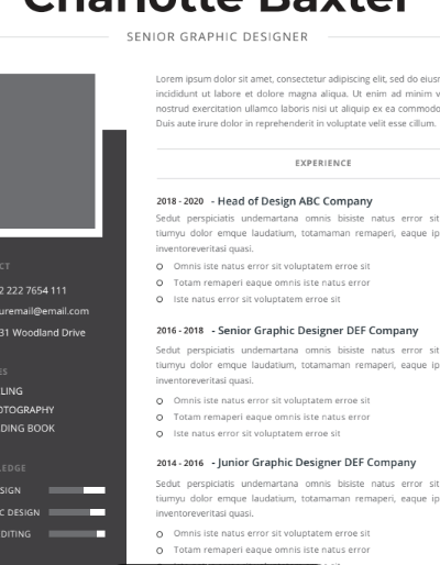 Professional CV Resume Vol.1