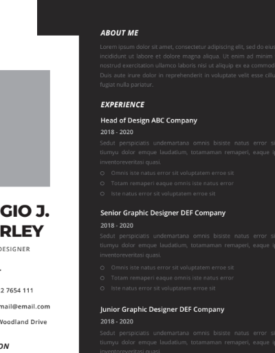 Professional CV Resume Vol.2