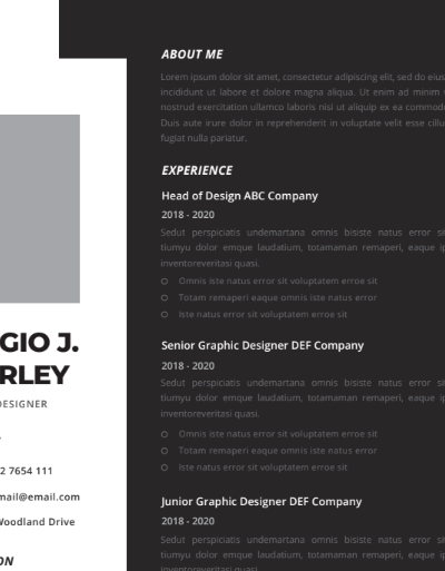 Professional CV Resume Vol.21