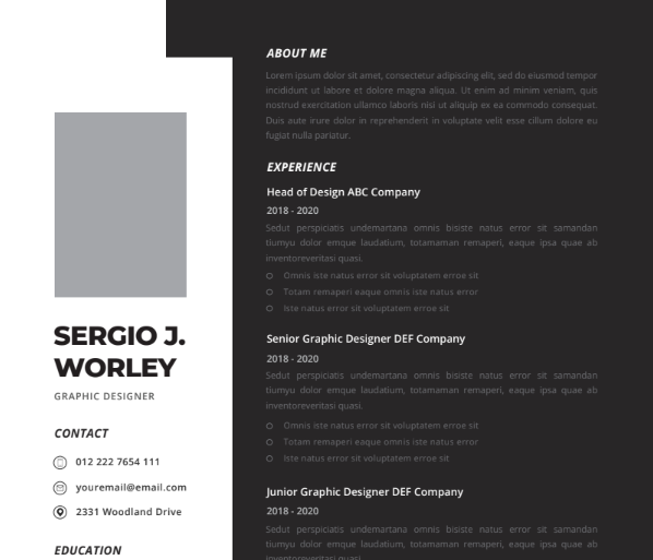 Professional CV Resume Vol.21