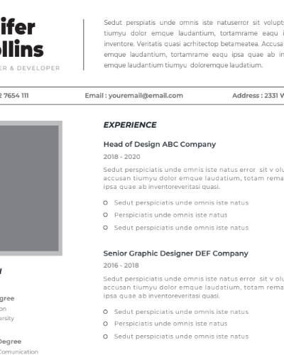 Professional CV Resume Vol.38