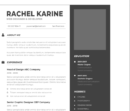 Professional CV Resume Vol.4
