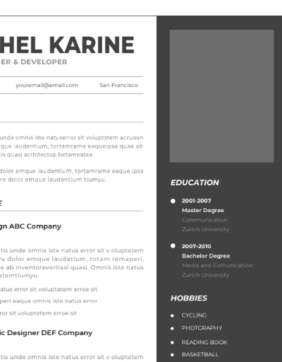Professional CV Resume Vol.4
